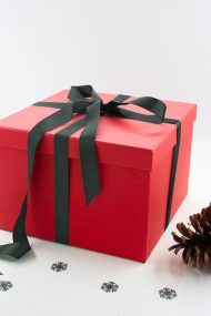 Kırmızı Hediye Kutusu